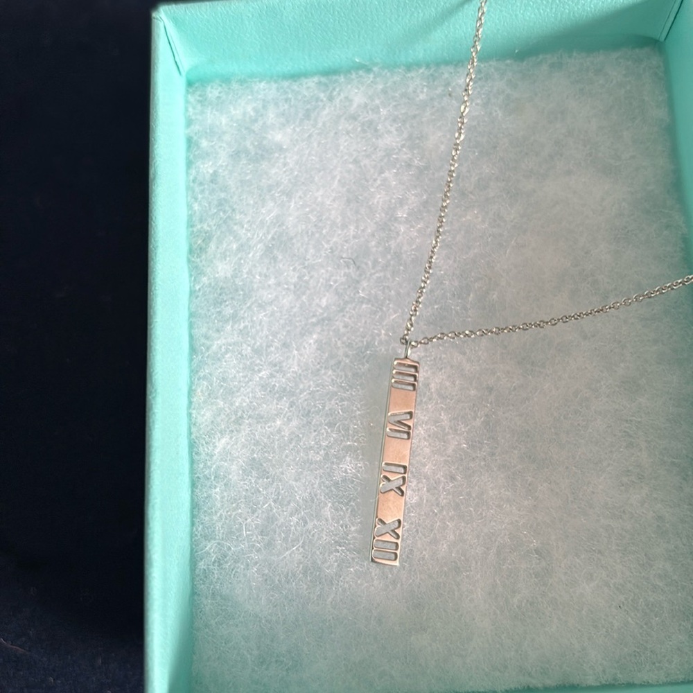 Tiffany & Co Necklace
